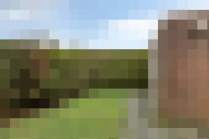 Easthimmerwei 20 Folsgare thumbnail 28
