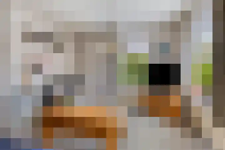 Easthimmerwei 20 Folsgare thumbnail 8