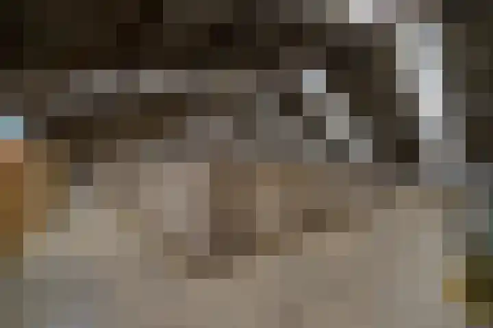 Easthimmerwei 23 Folsgare thumbnail 16