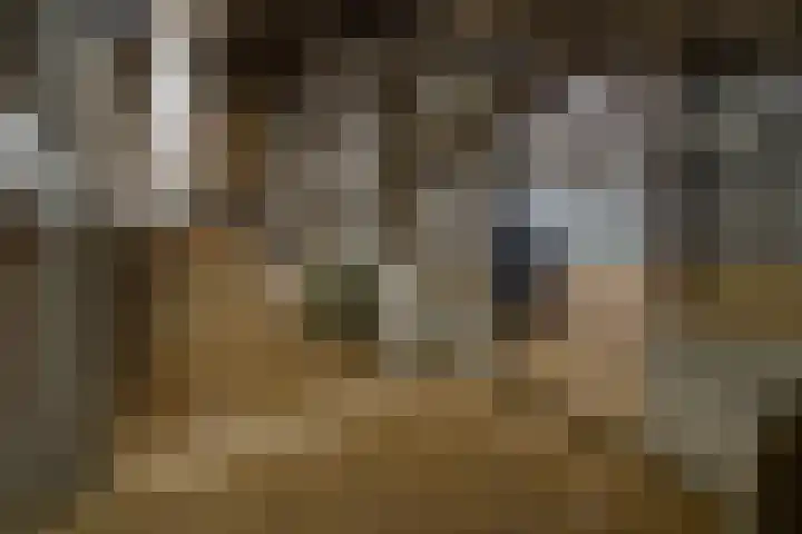 Easthimmerwei 23 Folsgare thumbnail 17