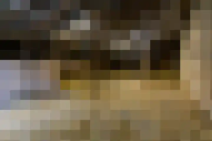 Easthimmerwei 23 Folsgare thumbnail 18