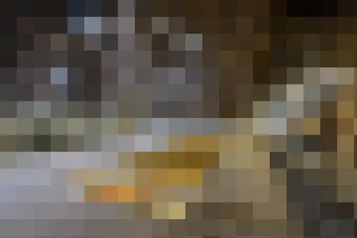 Easthimmerwei 23 Folsgare thumbnail 21