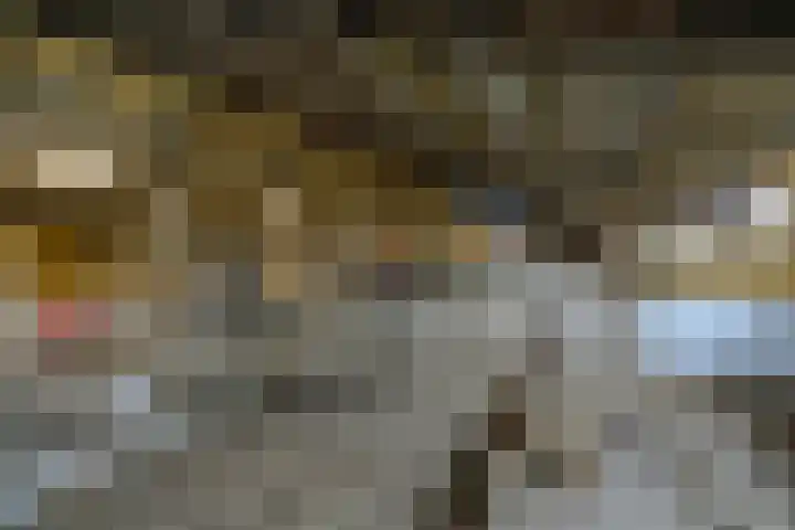 Easthimmerwei 23 Folsgare thumbnail 22