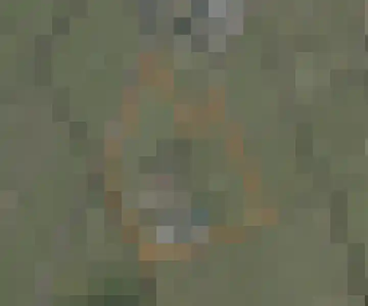Easthimmerwei 23 Folsgare thumbnail 23