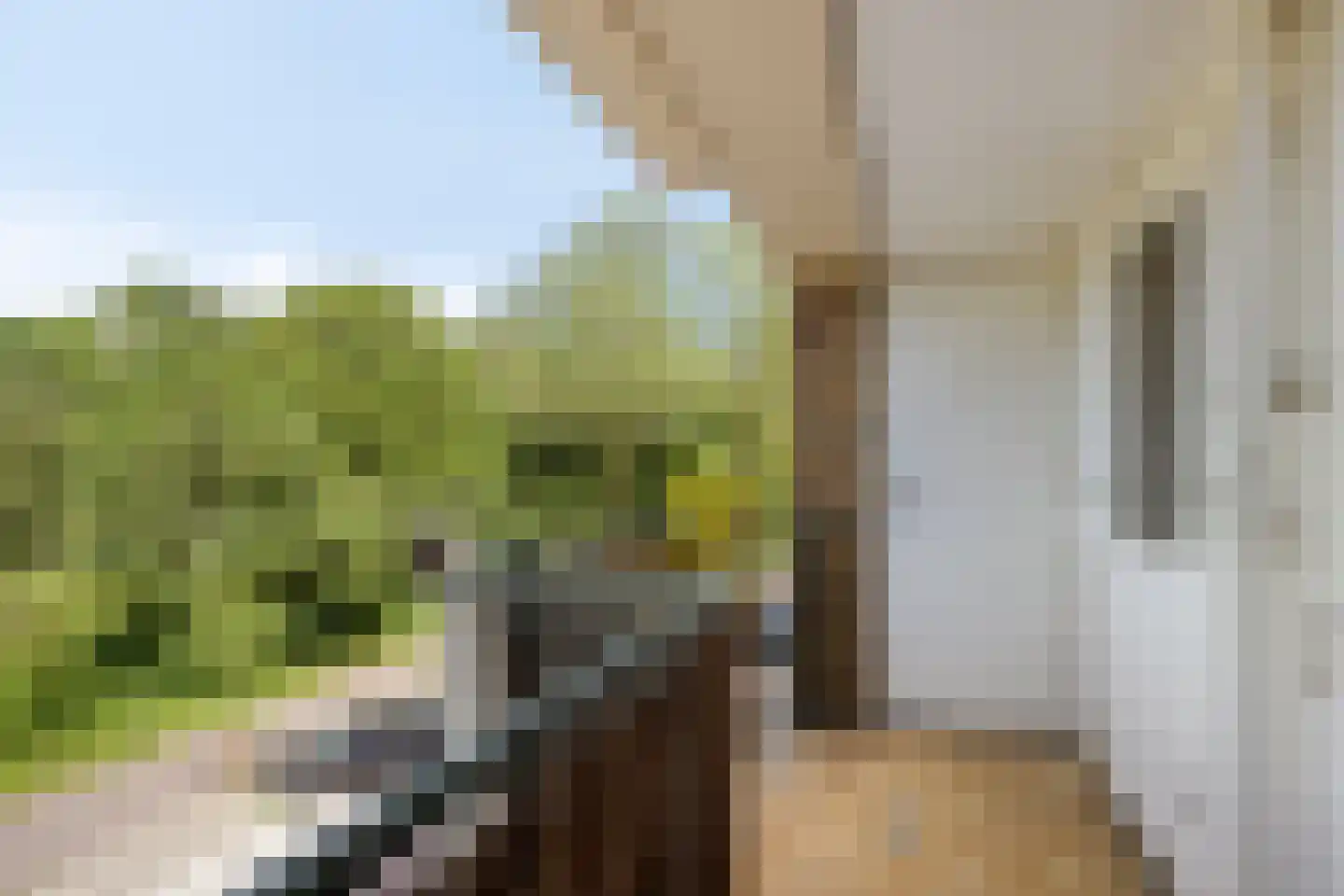 Eastonstraat 104 Amsterdam thumbnail 17