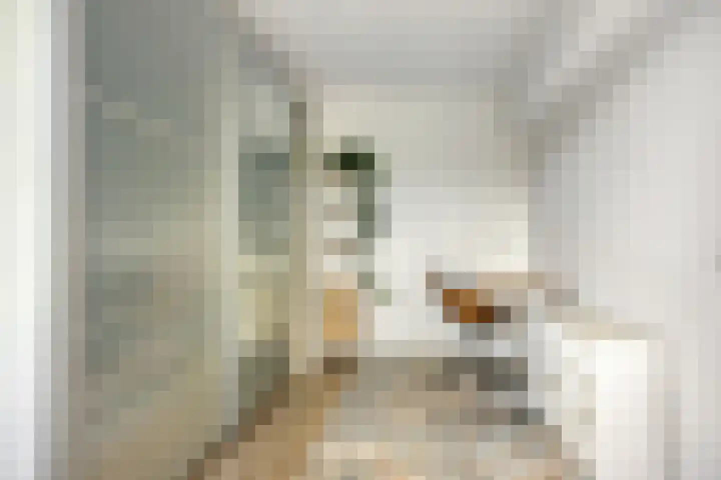 Eastonstraat 104 Amsterdam thumbnail 32