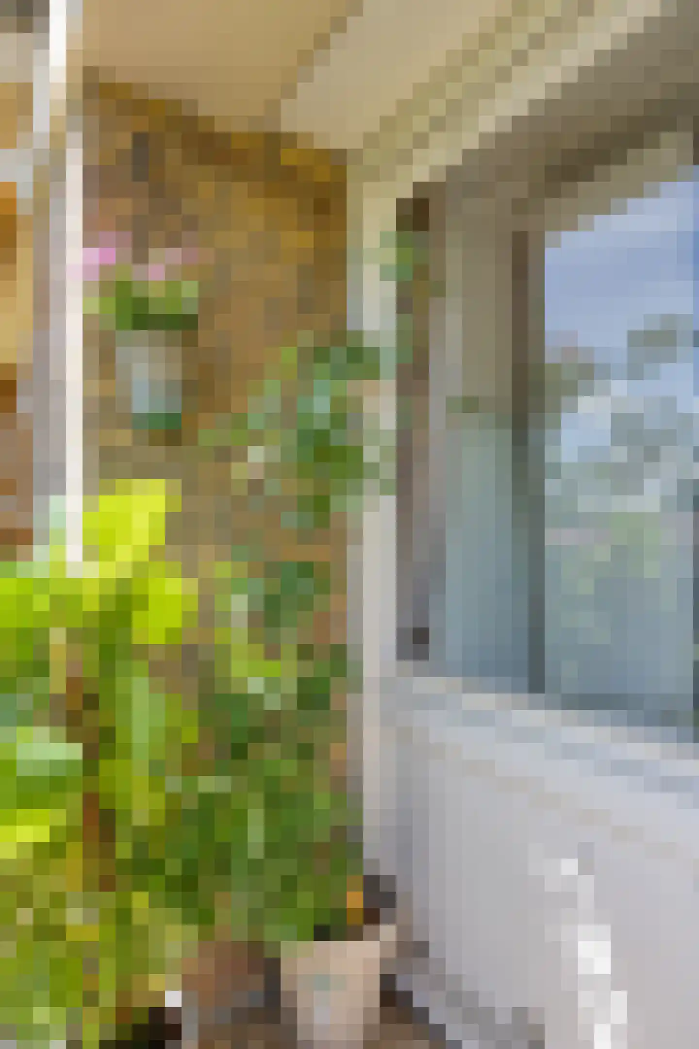 Eastonstraat 104 Amsterdam thumbnail 38