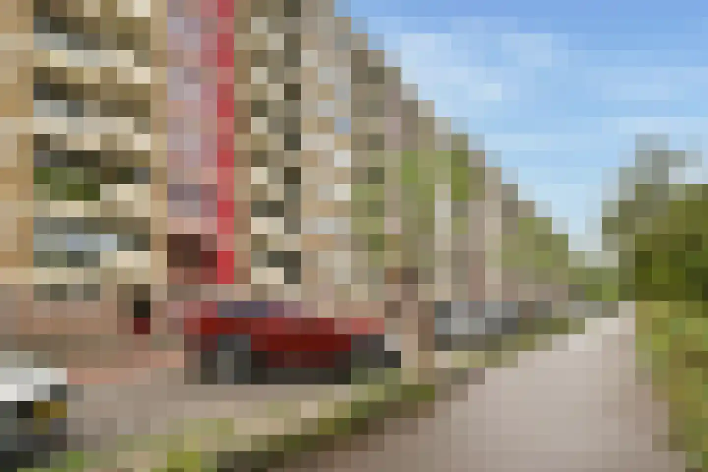 Eastonstraat 132 Amsterdam thumbnail 27