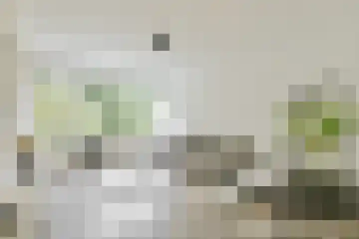 Eastonstraat 2 Amsterdam thumbnail 5