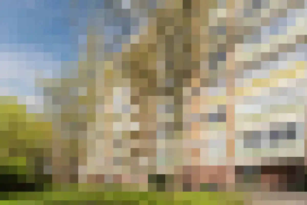 Eastonstraat 200 Amsterdam thumbnail 5