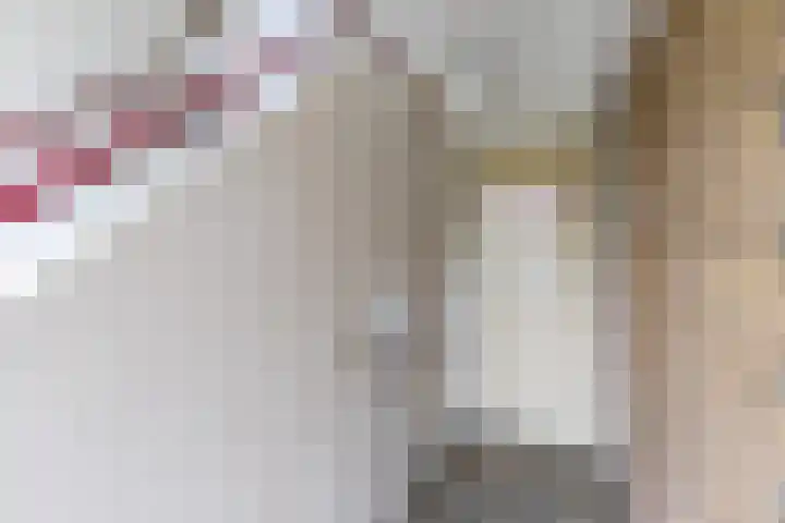 Eastonstraat 206 Amsterdam thumbnail 38