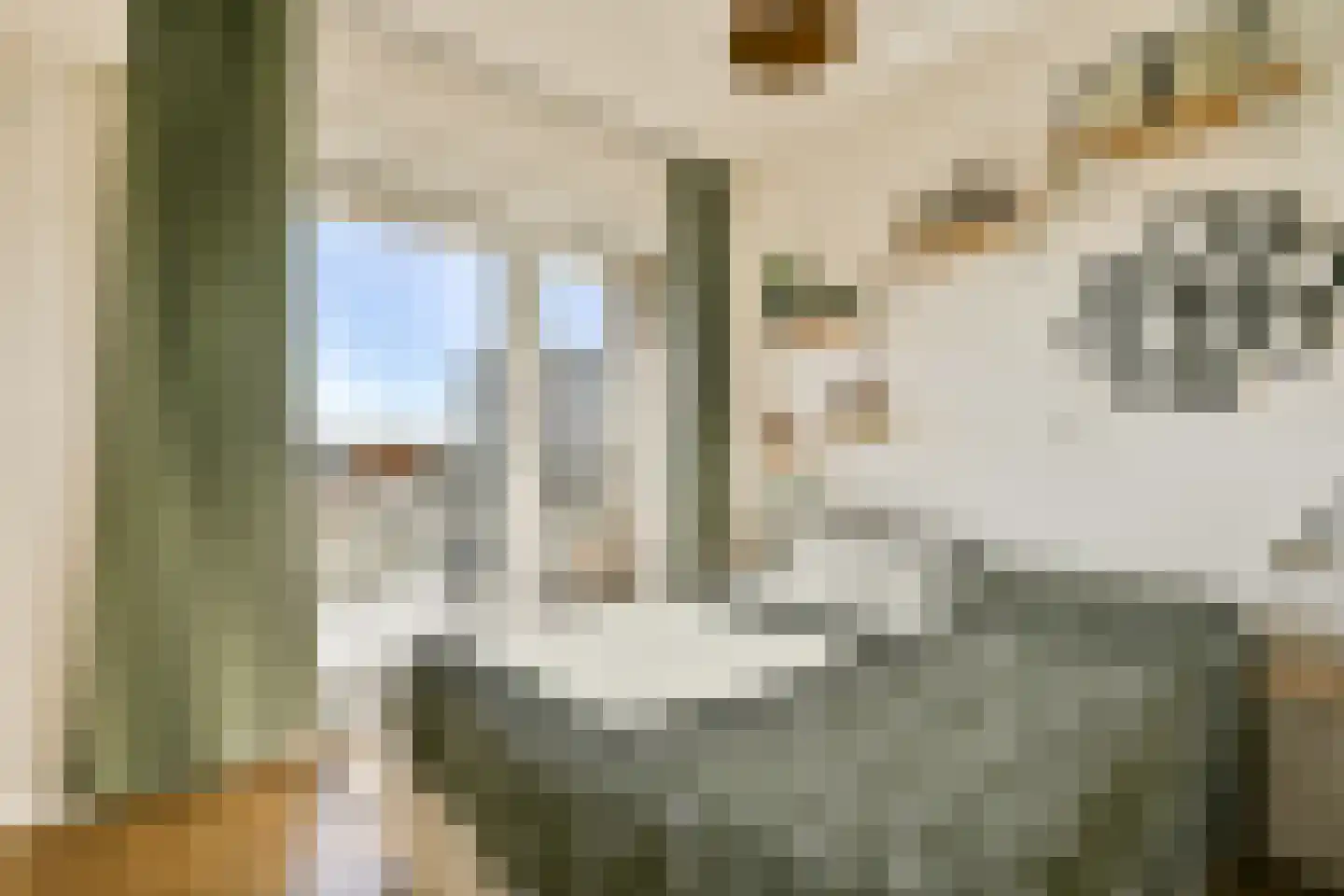 Eastonstraat 223 Amsterdam thumbnail 13