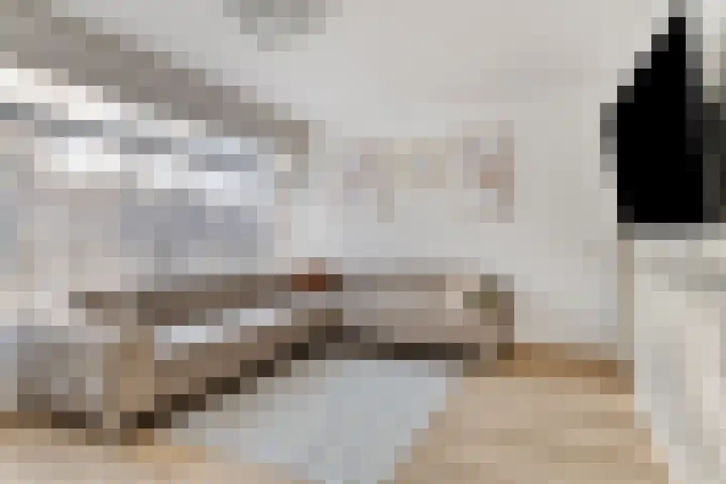 Eastonstraat 41 Amsterdam thumbnail 17