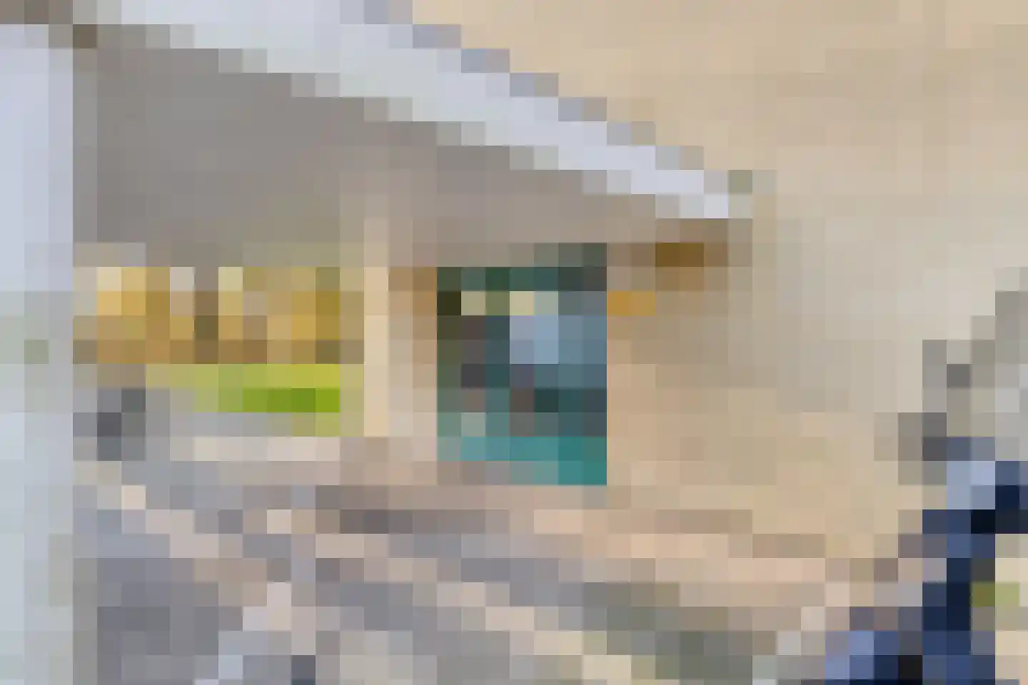 Eastonstraat 41 Amsterdam thumbnail 7