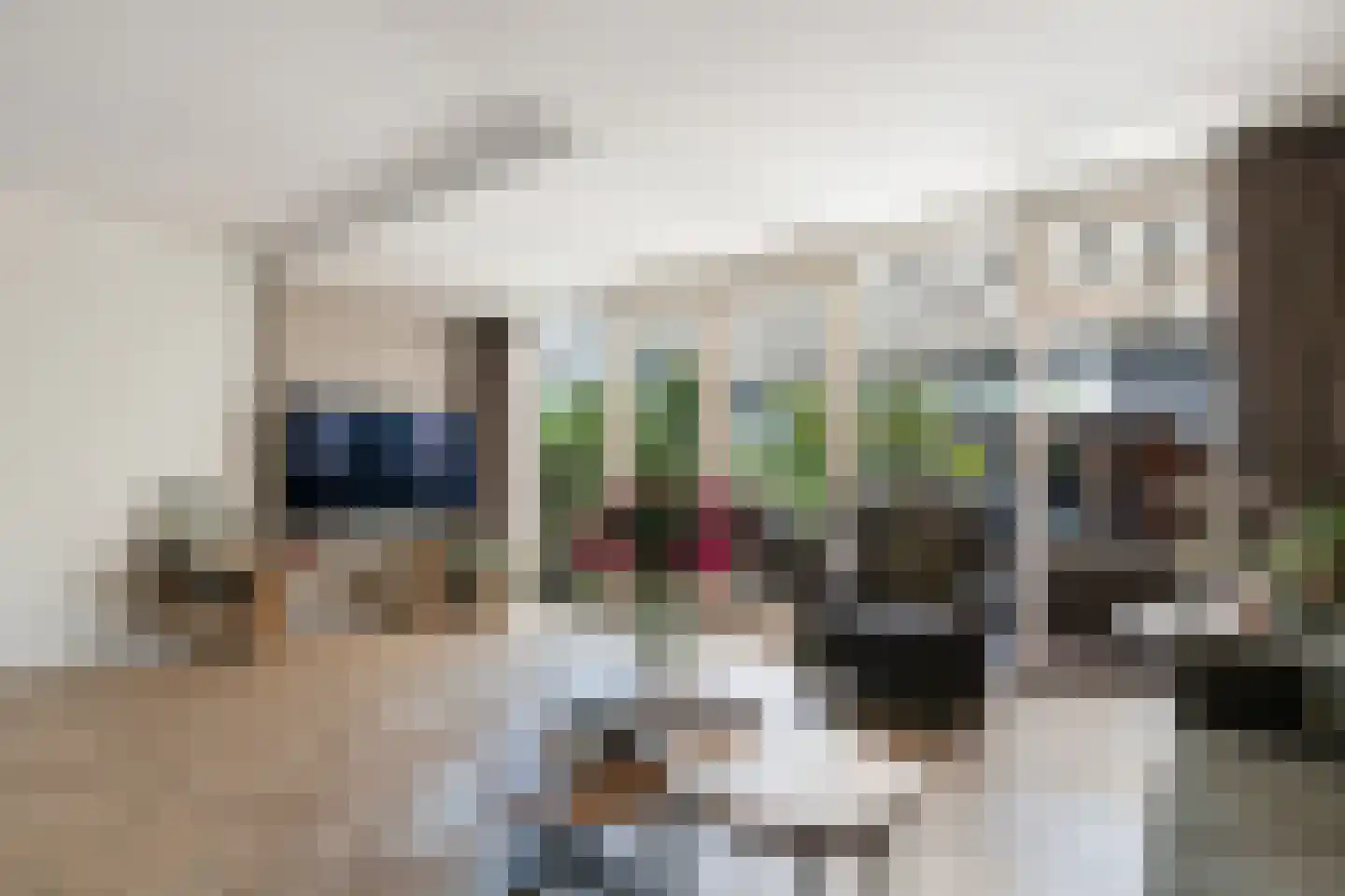 Eastonstraat 50 Dordrecht thumbnail 6