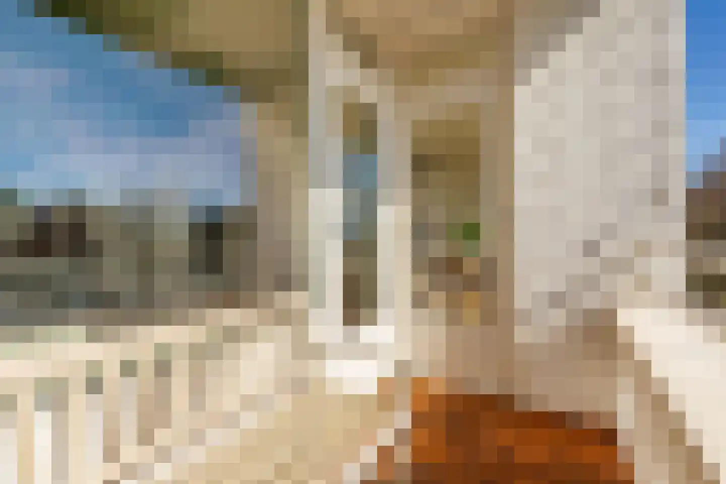 Eastonstraat 59 Amsterdam thumbnail 9