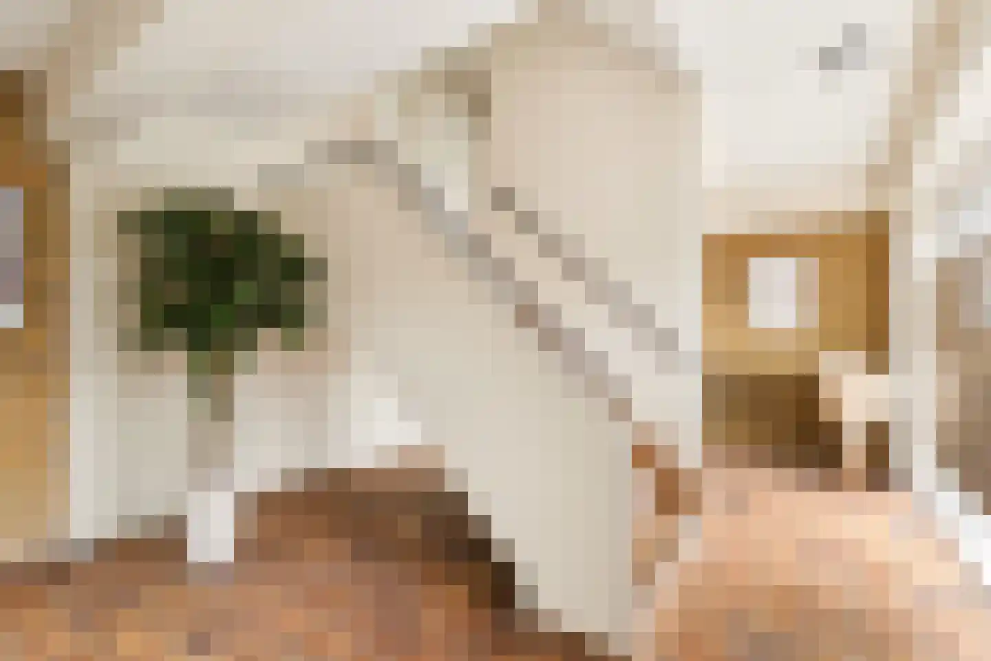 Eastonstraat 87 Amsterdam thumbnail 31