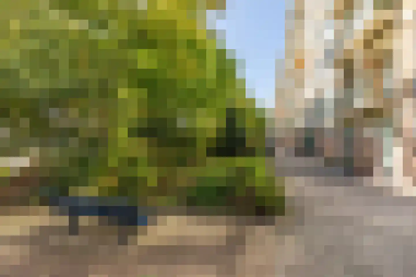 Eastonstraat 87 Amsterdam thumbnail 34