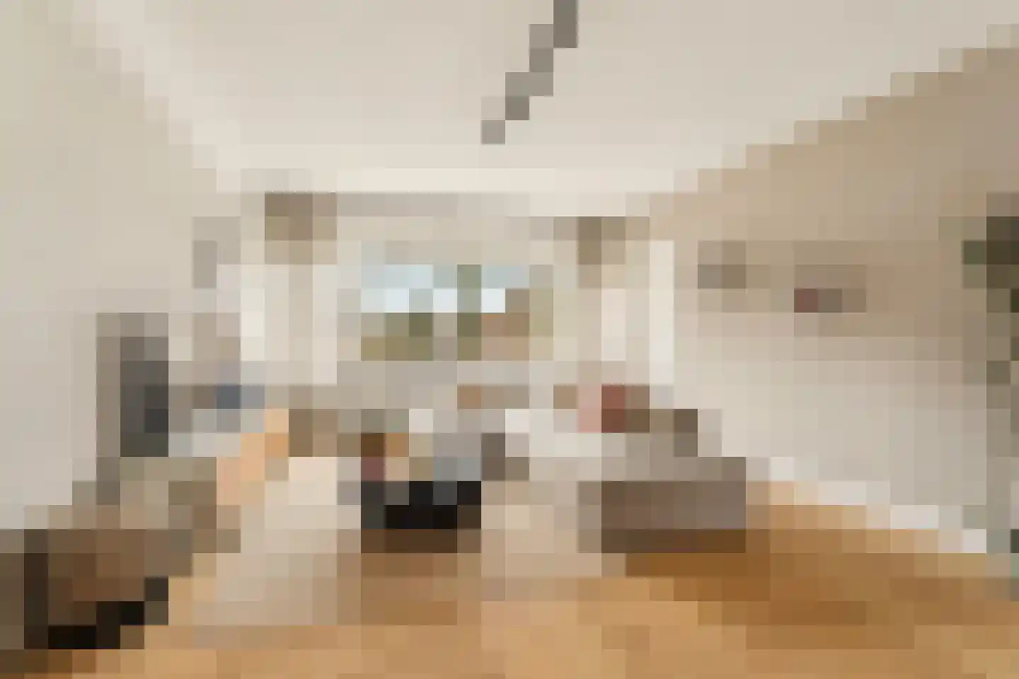Eastonstraat 87 Amsterdam thumbnail 8