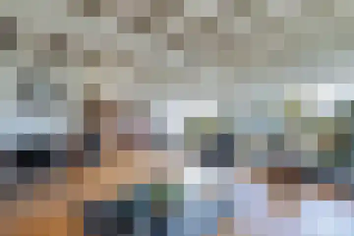 Eastwei 40 Uitwellingerga thumbnail 13