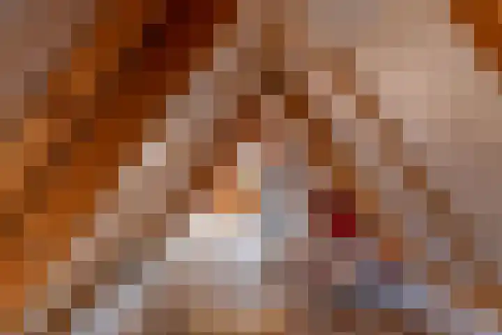 Eastwei 40 Uitwellingerga thumbnail 37