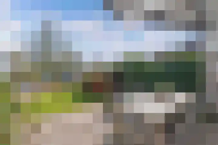 Eastwei 40 Uitwellingerga thumbnail 39