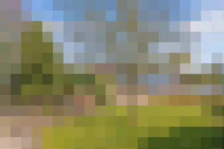 Eastwei 40 Uitwellingerga thumbnail 42