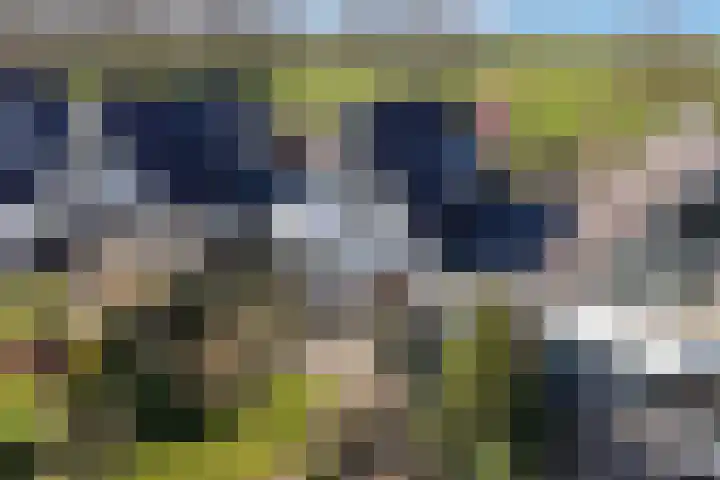 Eastwei 40 Uitwellingerga thumbnail 50