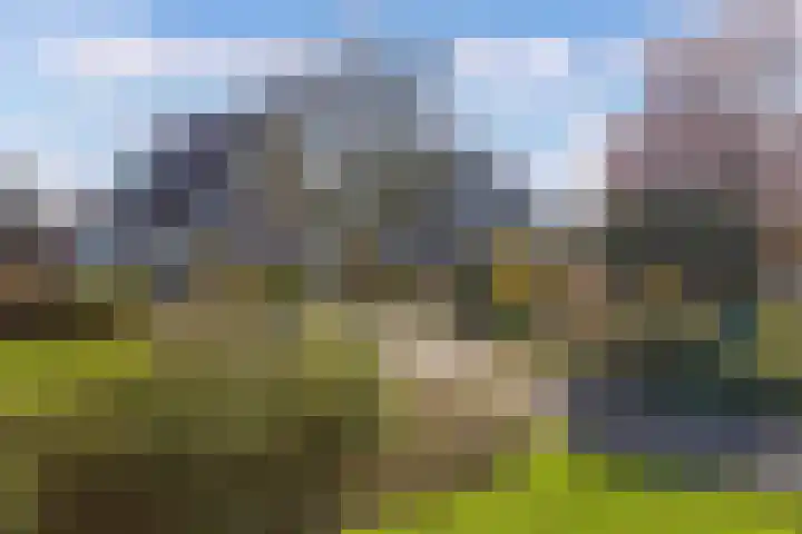 Eastwei 40 Uitwellingerga thumbnail 51