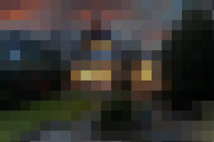 Eastwei 40 Uitwellingerga thumbnail 55