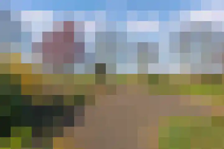 Eastwei 40 Uitwellingerga thumbnail 57