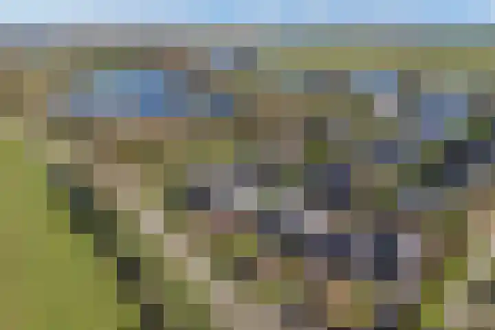 Eastwei 40 Uitwellingerga thumbnail 62