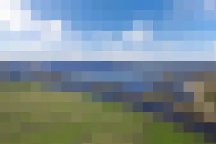 Eastwei 40 Uitwellingerga thumbnail 63