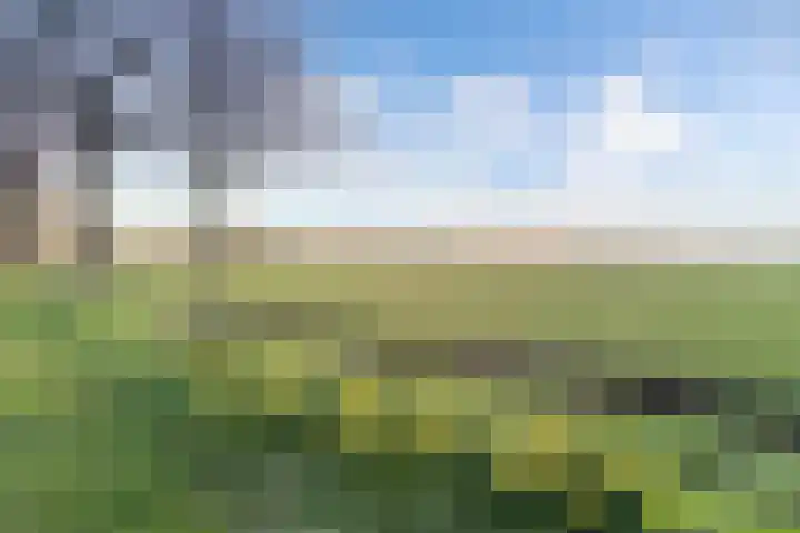 Eastwei 40 Uitwellingerga thumbnail 64