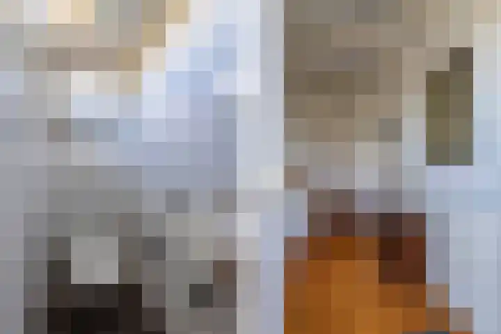 Eastwei 40 Uitwellingerga thumbnail 7