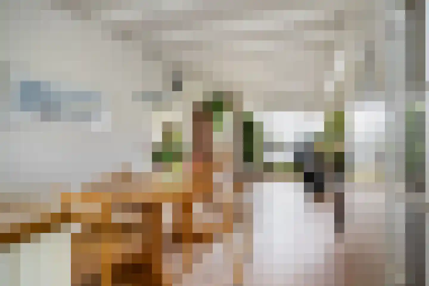 Eastwei 42 RECR Uitwellingerga thumbnail 13