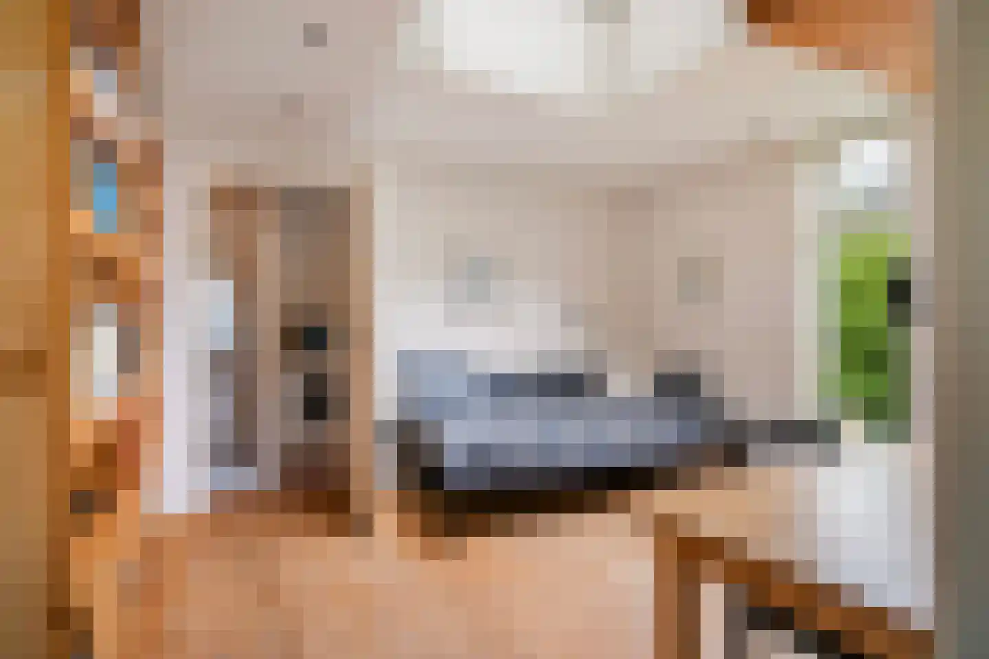 Eastwei 42 RECR Uitwellingerga thumbnail 27