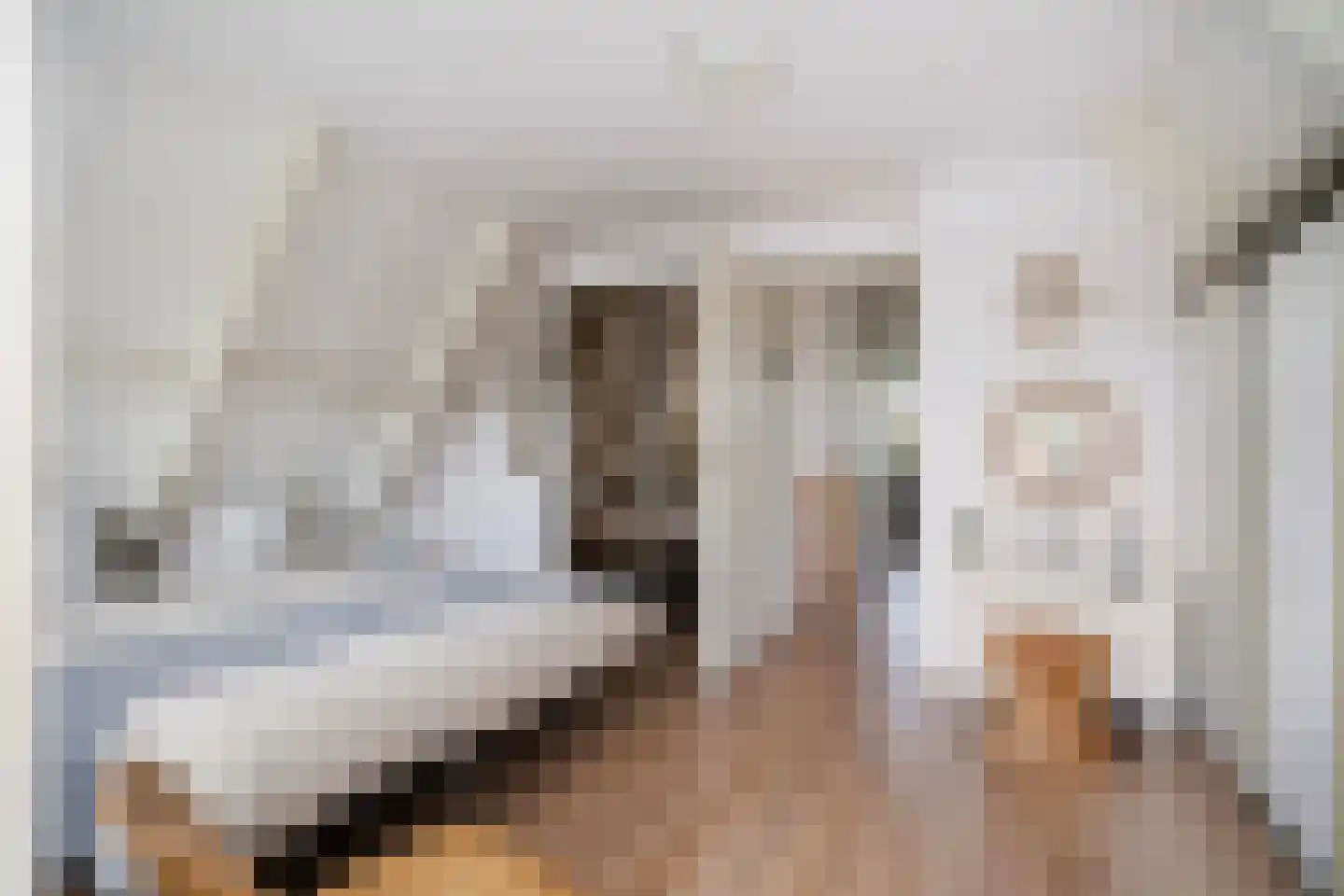 Eastwei 42 RECR Uitwellingerga thumbnail 37