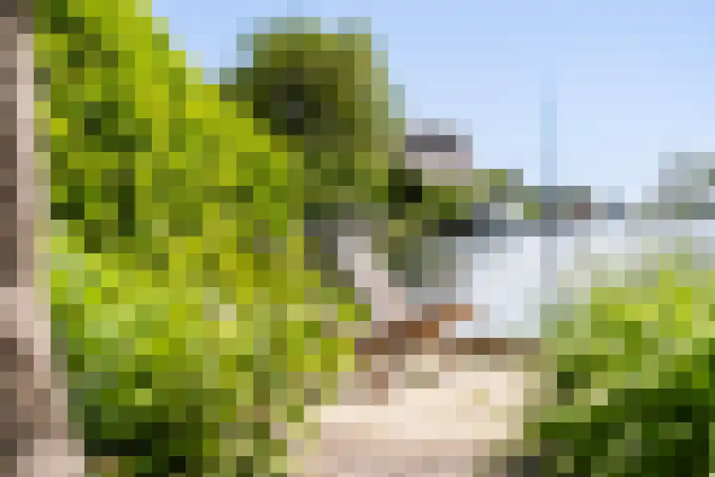 Eastwei 42 RECR Uitwellingerga thumbnail 54