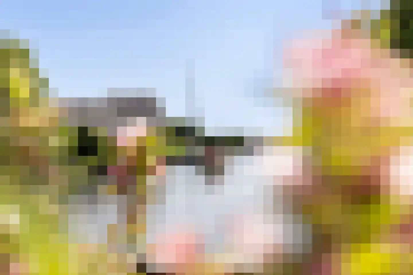Eastwei 42 RECR Uitwellingerga thumbnail 58