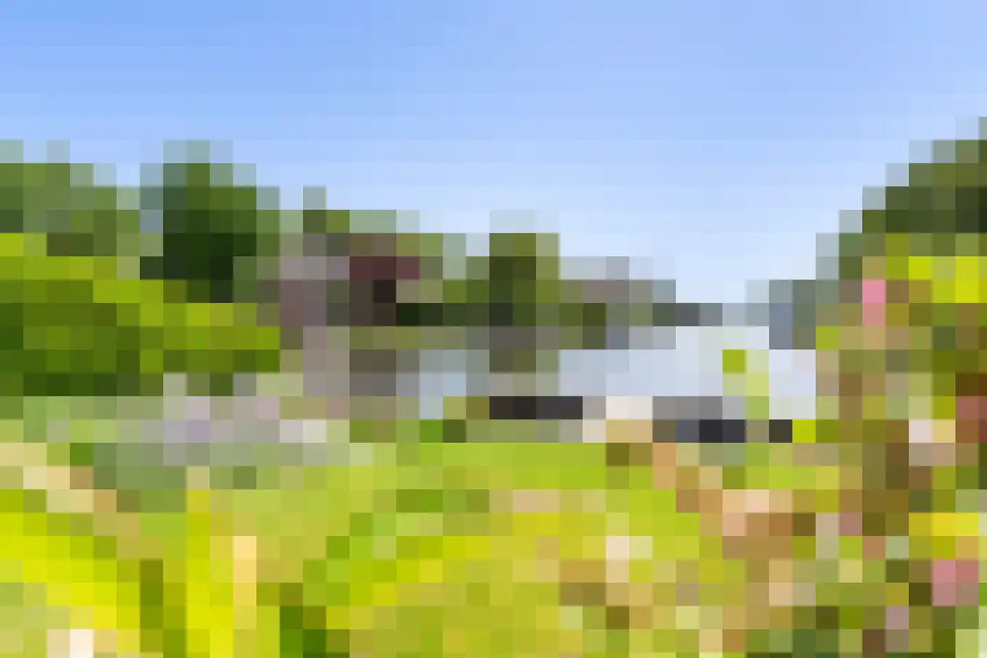 Eastwei 42 RECR Uitwellingerga thumbnail 59