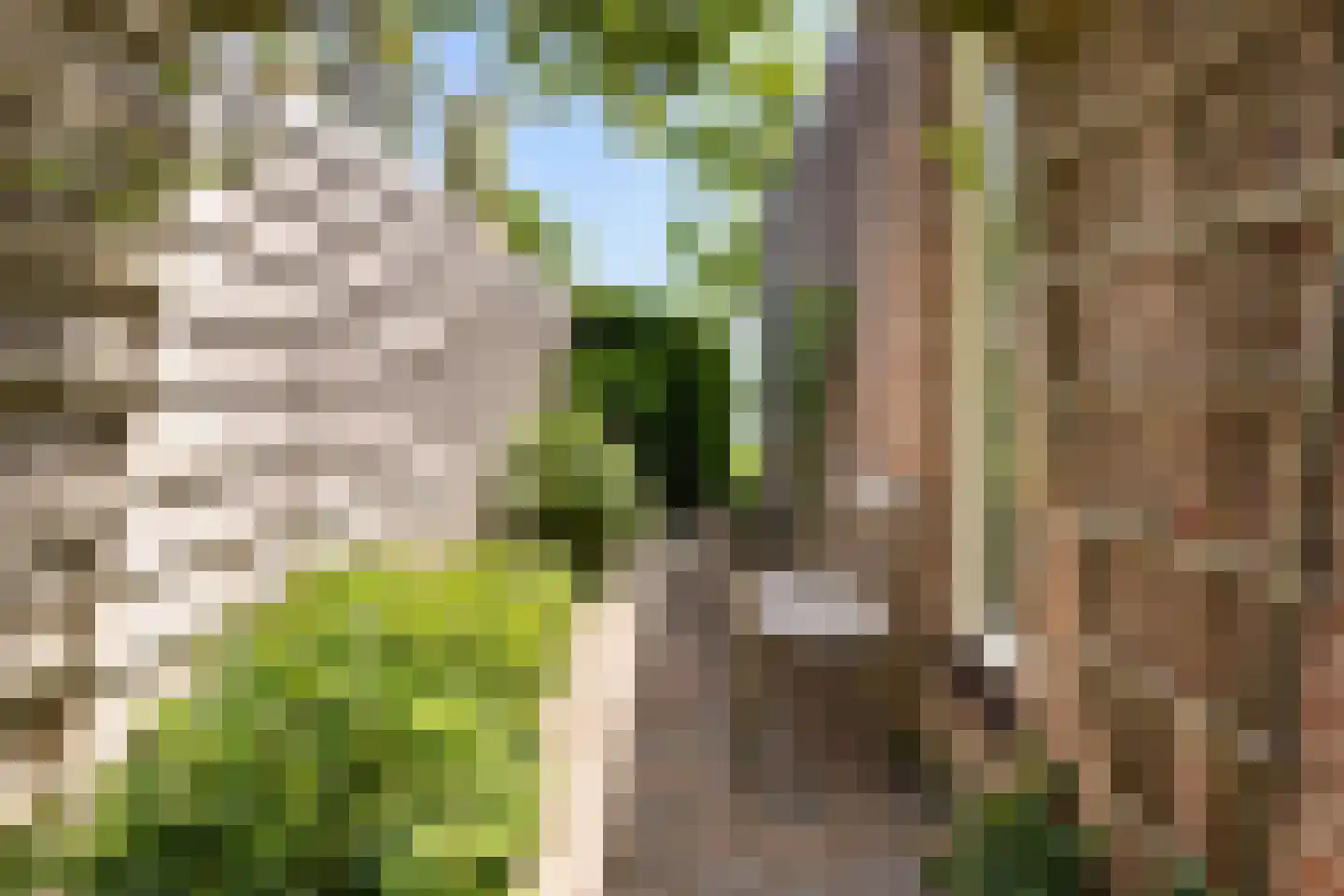 Eastwei 42 RECR Uitwellingerga thumbnail 67