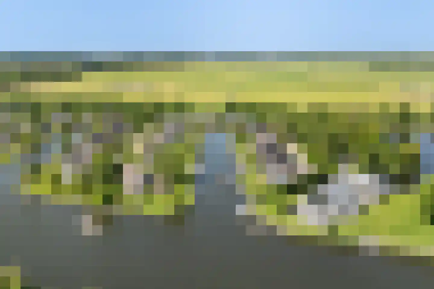 Eastwei 42 RECR Uitwellingerga thumbnail 74