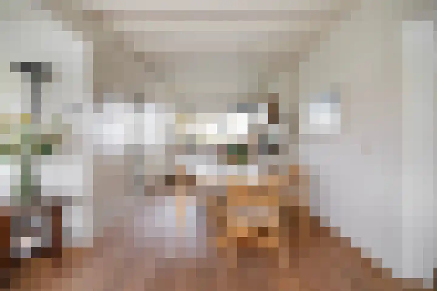 Eastwei 42 Uitwellingerga thumbnail 12