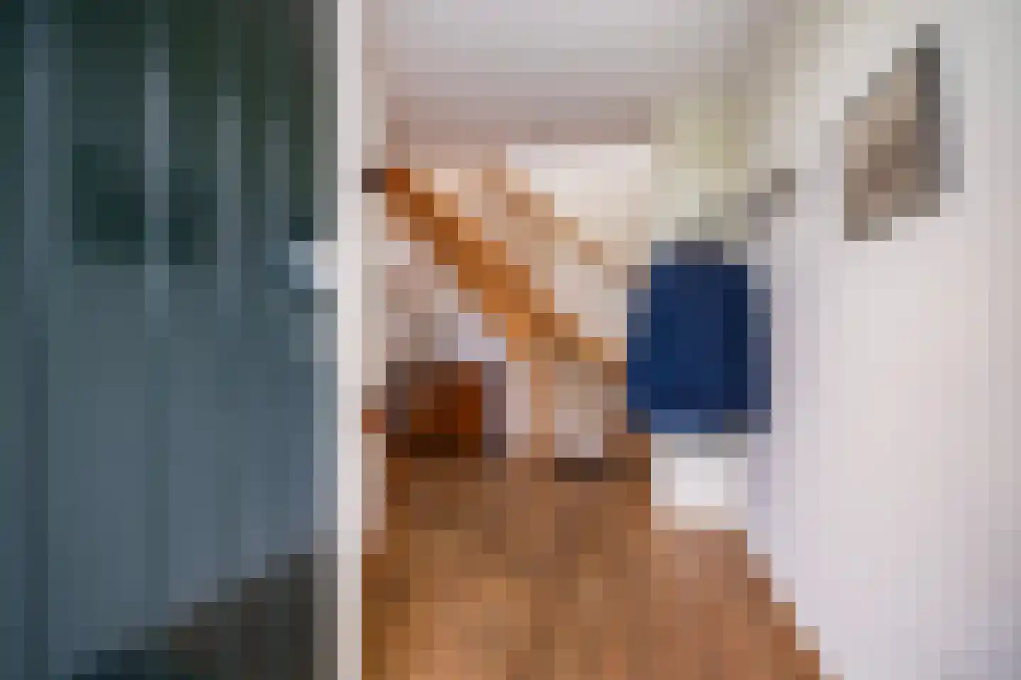 Eastwei 42 Uitwellingerga thumbnail 5