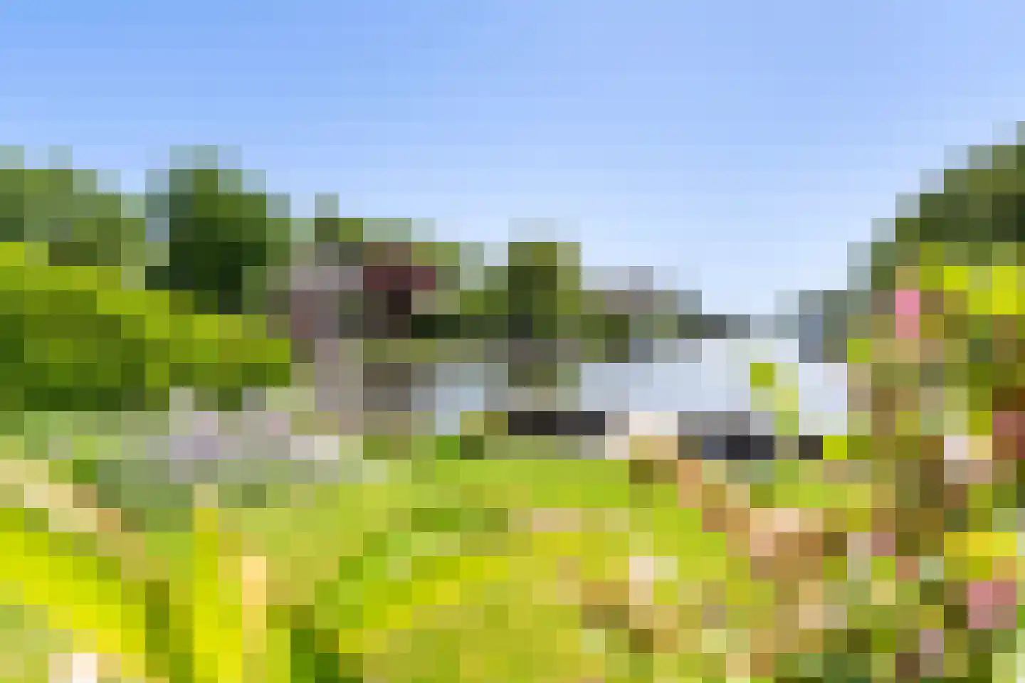 Eastwei 42 Uitwellingerga thumbnail 59