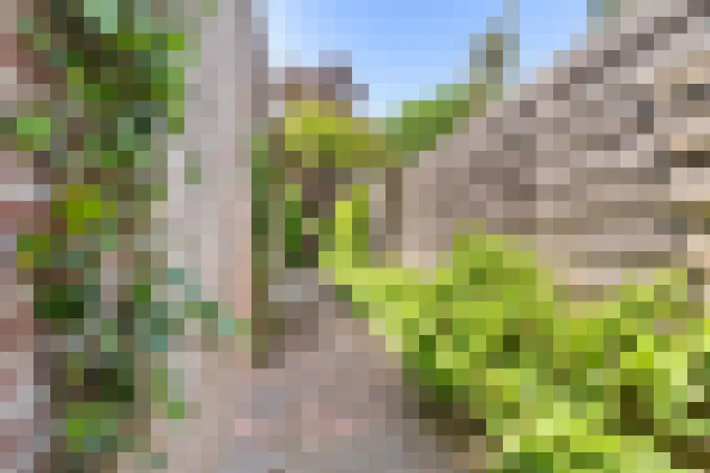 Eastwei 42 Uitwellingerga thumbnail 66