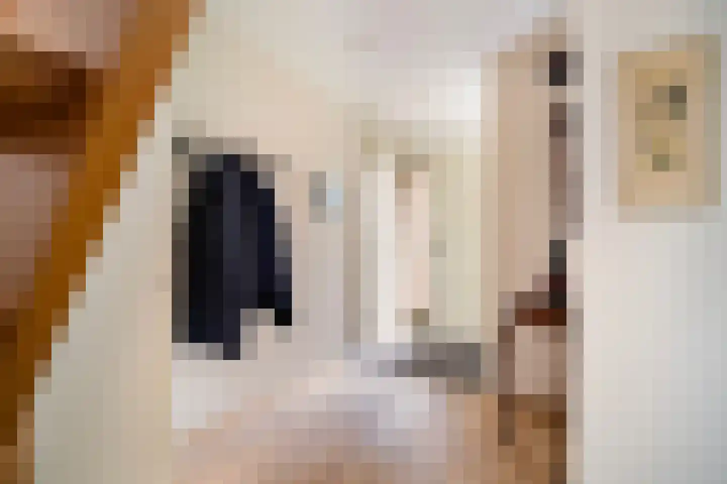 Eastwei 42 Uitwellingerga thumbnail 7
