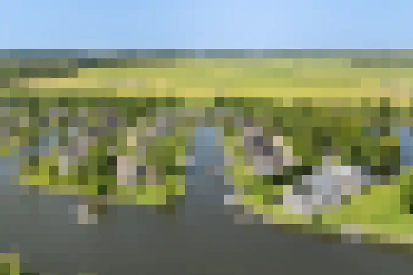 Eastwei 42 Uitwellingerga thumbnail 74