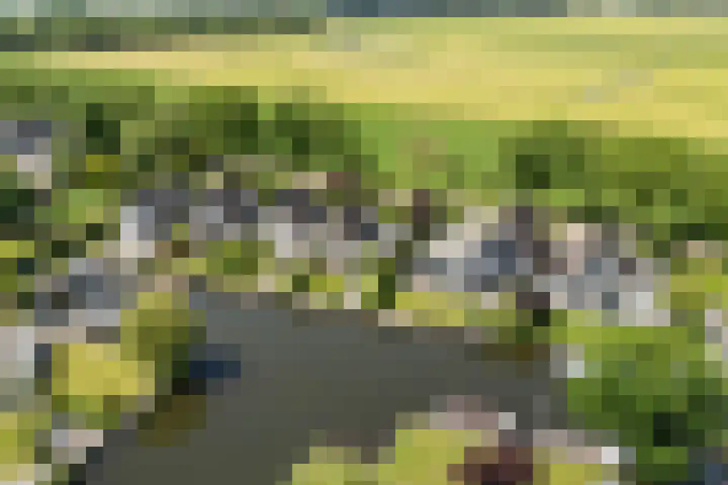 Eastwei 42 Uitwellingerga thumbnail 75